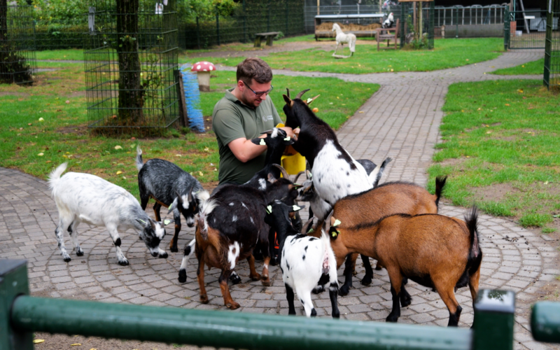 STADSBOERDERIJ BEEKLUST AFBEELDING