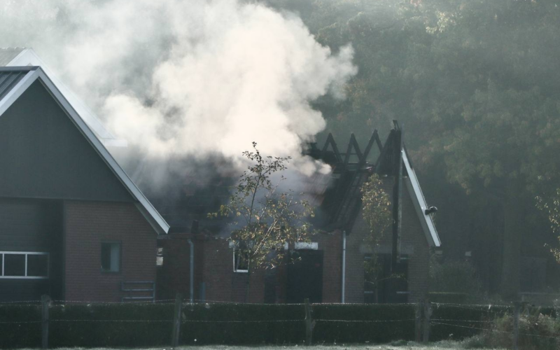 Beuningen 20261003 02