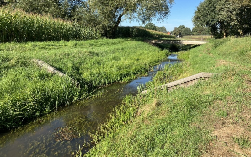 Vechtstromen geelebeek 2 1