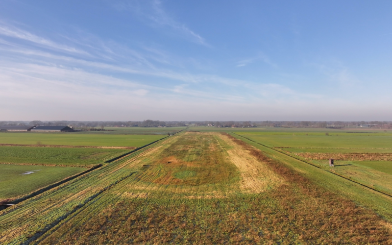 2025 01 31 schapen op huyerenseveld