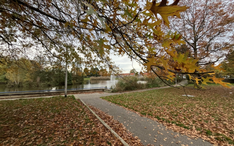 Goossenmaatpark Almelo