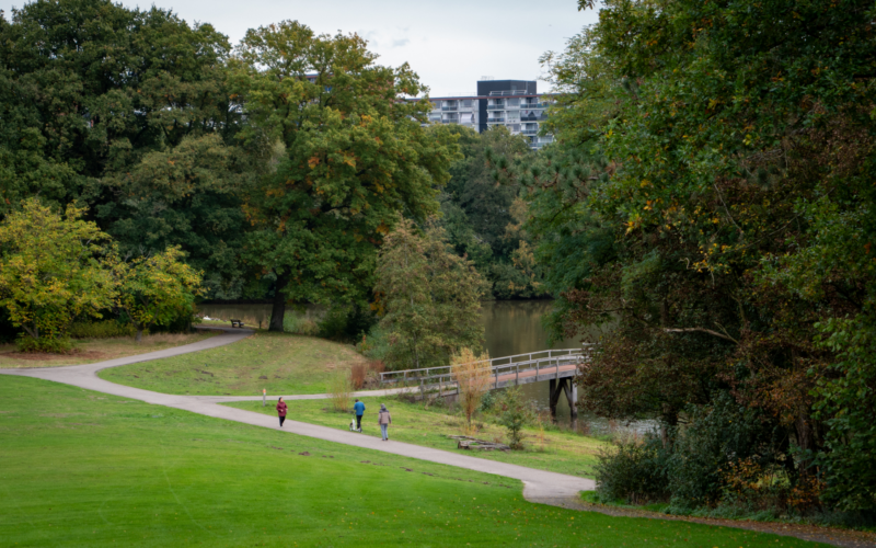Wesselerbrinkpark vanaf de bult