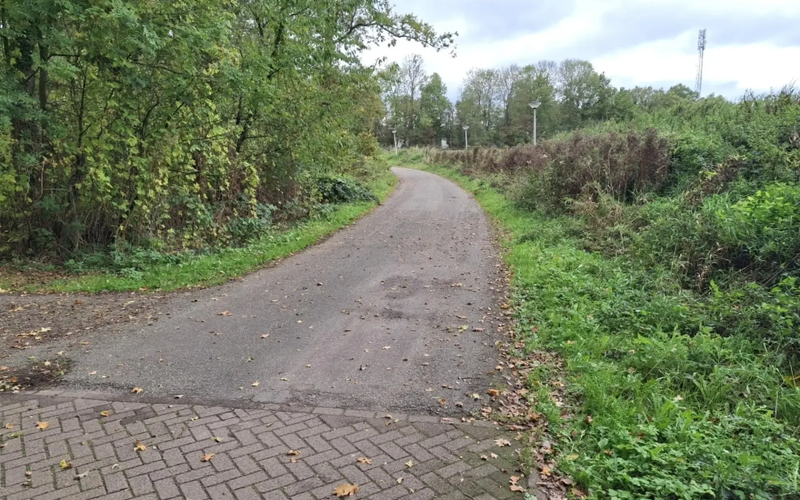 Losser De Lutte rudingpad 0