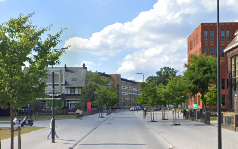 Google Streetview Ripperdastraat