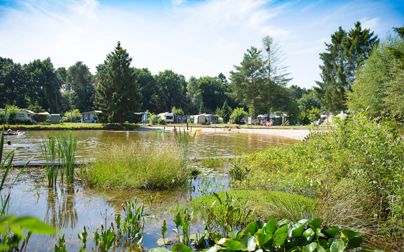 Ostana naturistencamping enschede wint blootkompas award