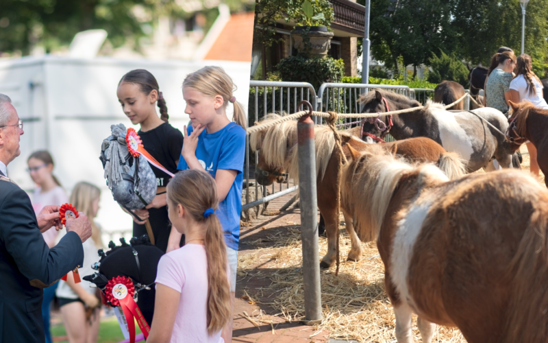 PAARDENMARKT ENTER 20250807