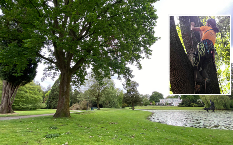 Volkspark NK Boomspecialisten 2026 aankondiging