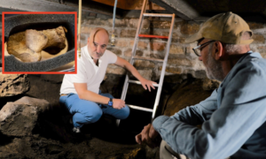 072025 BOTJE ONDER DE GROND THUMB