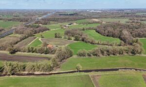 09 06 2025 Dronefoto dekzandkopjeslandschap