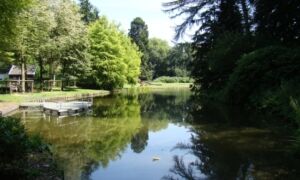 11895 Ledeboerpark