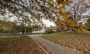Goossenmaatpark Almelo