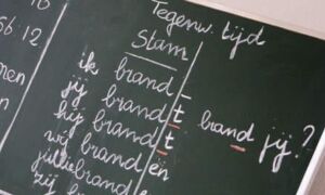 14476 Laaggeletterdheid