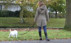 14495 hond