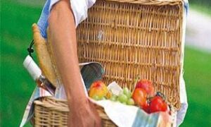 14655 picknickmand