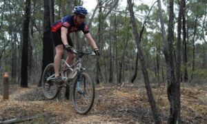 14683 mountainbike