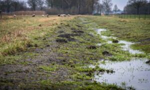 15032023 Twente Waterschap Verkiezingen