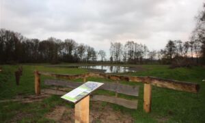 168551 boomkikkerreservaat Enschede 1