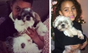 175375 kinderen met hond