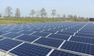 175660 zonnepanelen 5