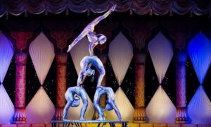 176636 acrobaten circus