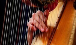 18589 harp