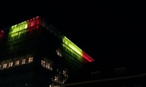 187313 image 5855438