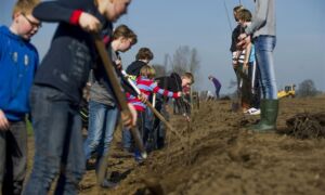 187607 boomplantdag