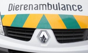 187911 dierenambulance 1