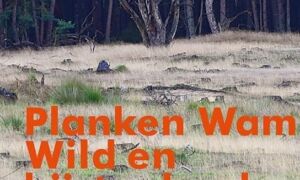 19344 Cover Wild en bijster land