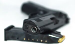 196284 muzzle 1080231 960 720