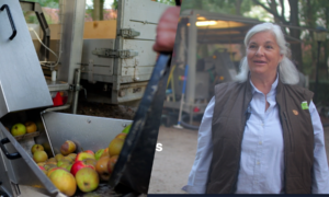 Fruitpersdag Manderveen 2026