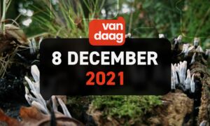 1 T Vandaag streamstill 20211208