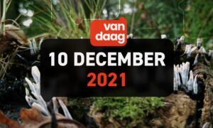 1 T Vandaag streamstill 20211210