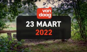 1 T Vandaag streamstill 20220323