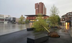 200953 Foto 30 05 16 21 25 14 1