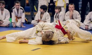 20240823 stockfoto judo pixabay