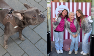 20241003 Neem je hond mee shoppen dag split