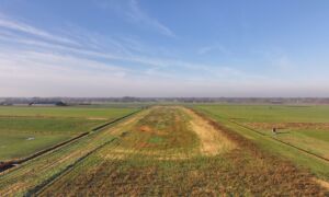 2025 01 31 schapen op huyerenseveld