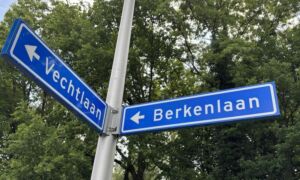 20250526 vechtlaan fout straatbodje hengelo berkenlaan