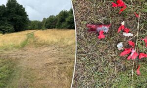 20250707 knal Enschede thumb RTV Oost