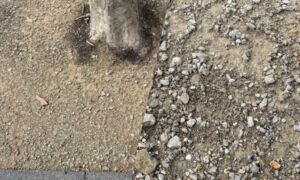 20250707 IMG 7927 halfverharding bodemverharder staalslakken beursstraat container