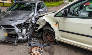 20250721 112 dennis bakker De reulver de Kieper