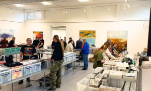 20251013 platenbeurs almelo hof88