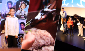 20251023 geitje voor een karweitje premiere concordia