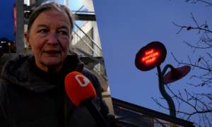 20251211 Klaproos Onthulling still3