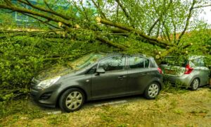 20260529 stormschade malangstraat enschede boom waait op auto