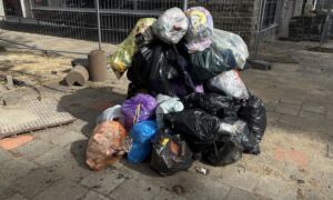 20260630 afval inzameling beatrixstraat hengelo IMG 3738