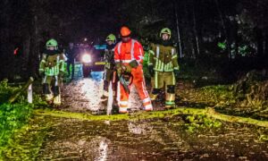 20261024 Stormschade buitengebied Losser