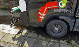 20270428 gildebor onkruid stoom IMG 1949a