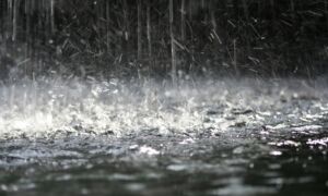 203214 regen